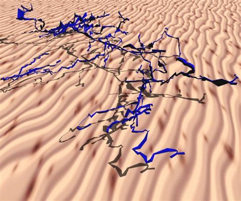 Taut Passage Map 